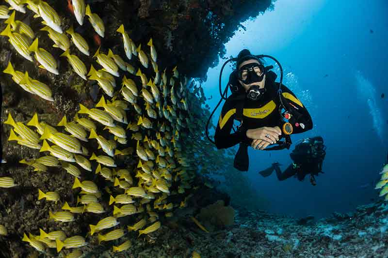 Deep Sea Diving: Jobs as a Commercial Scuba Diver