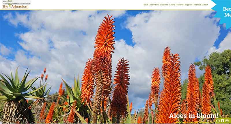 Jose Mier screenshot of L.A. Arboretum website Sun Valley